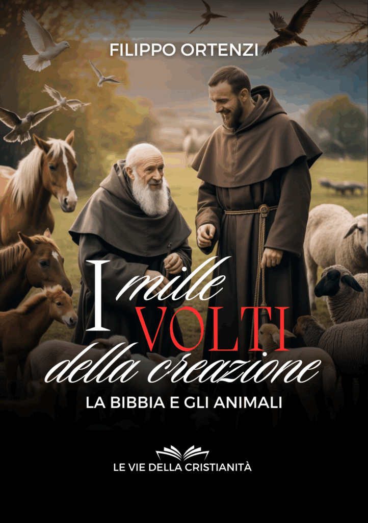 I mille volti della creazione